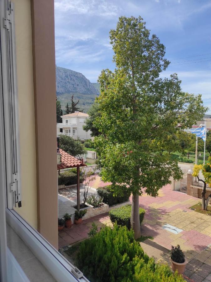 Guest house Vasilios Marinos *